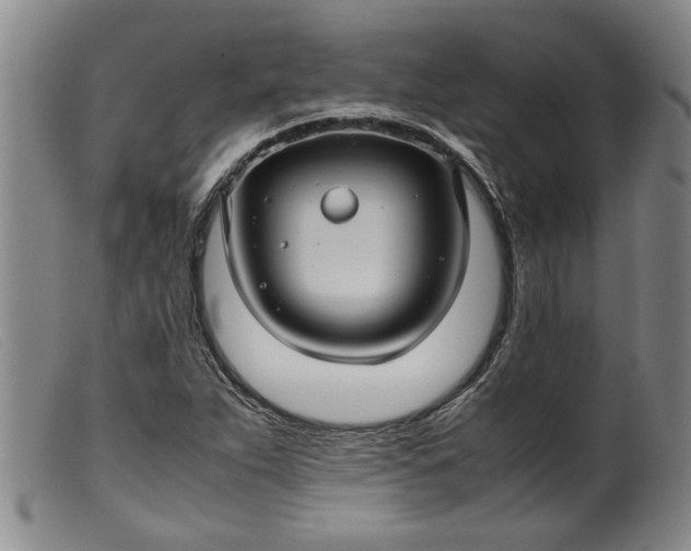 X0000099411263200805231555