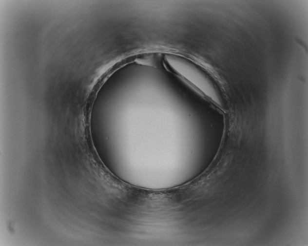 X0000099411264200805231555