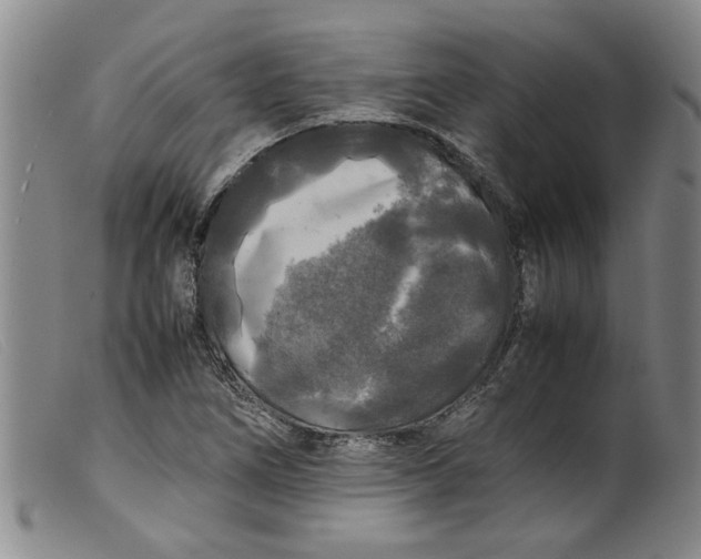 X0000099411266200805231555