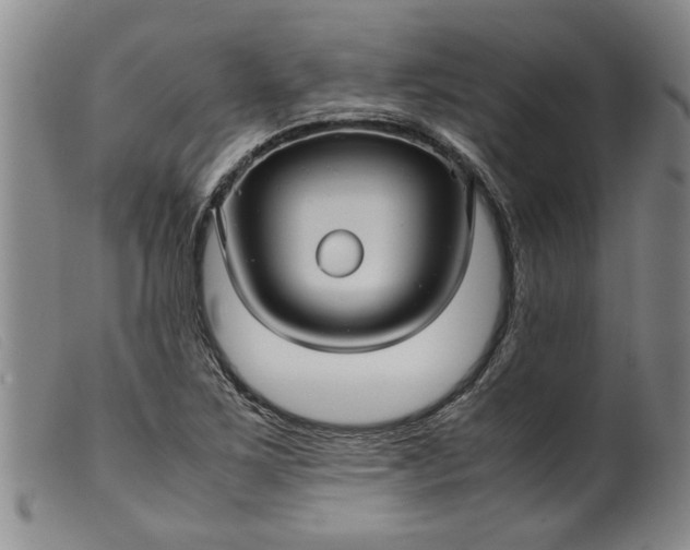 X0000099411267200805231555