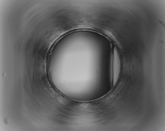 X0000099411268200805231555