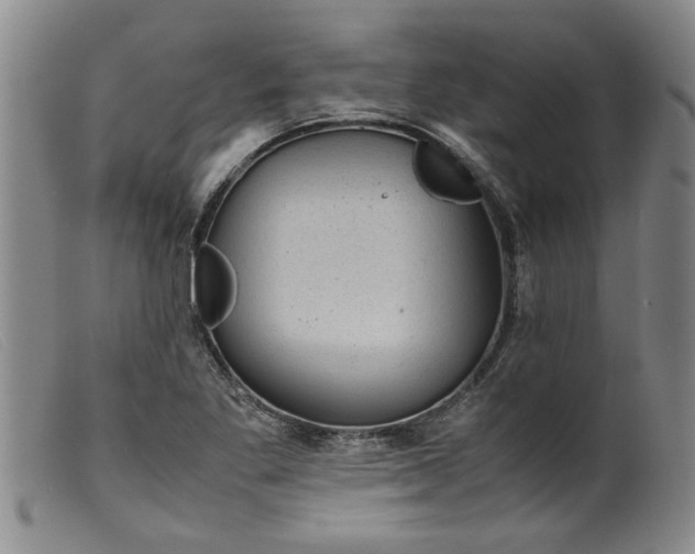 X0000099411269200805231555