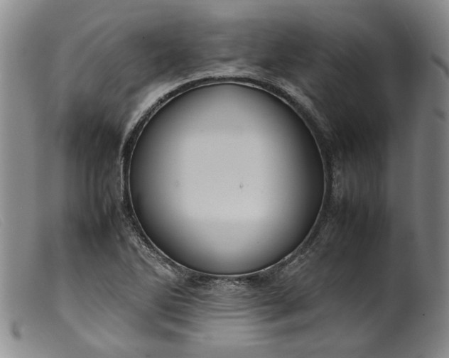 X0000099411270200805231555