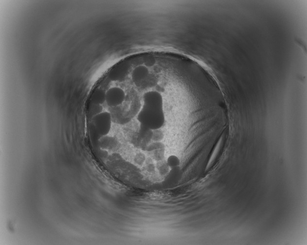 X0000099411271200805231555