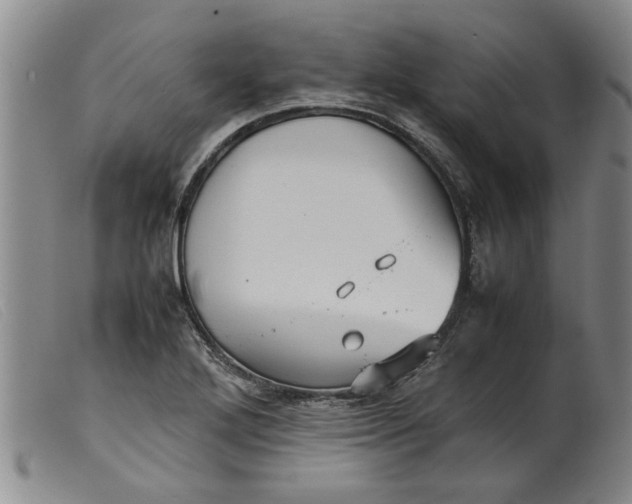 X0000099411272200805231555