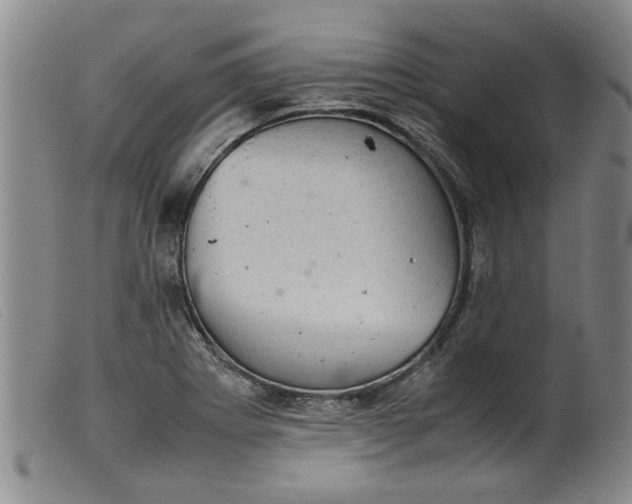 X0000099411273200805231555