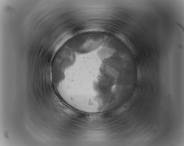 X0000099411274200805231555