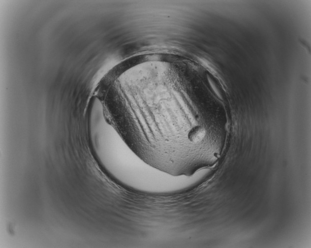 X0000099411275200805231555