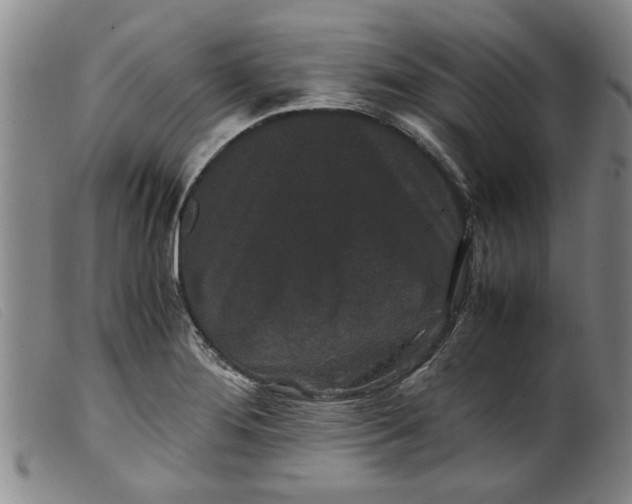 X0000099411276200805231555