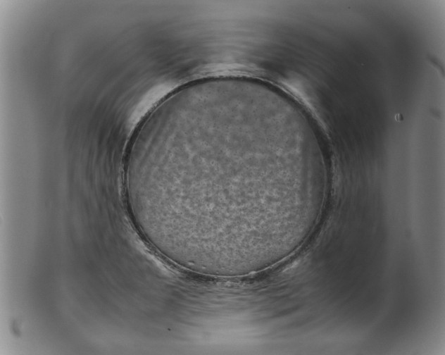 X0000099411277200805231555