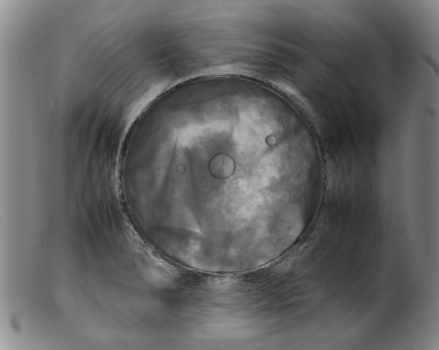 X0000099411278200805231555