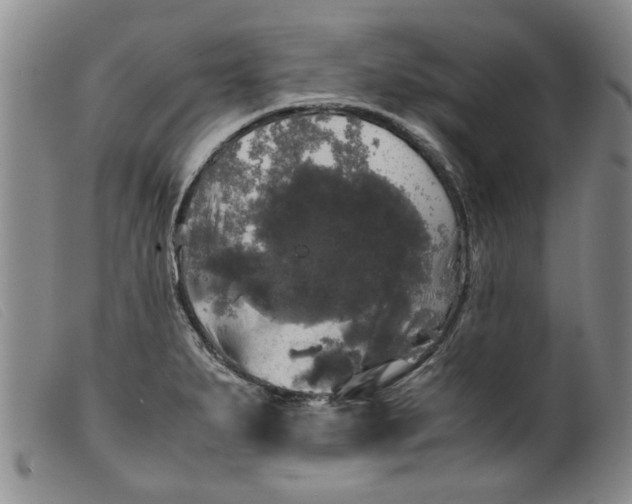 X0000099411279200805231555