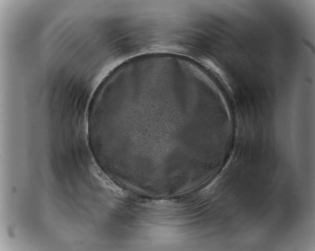 X0000099411280200805231555