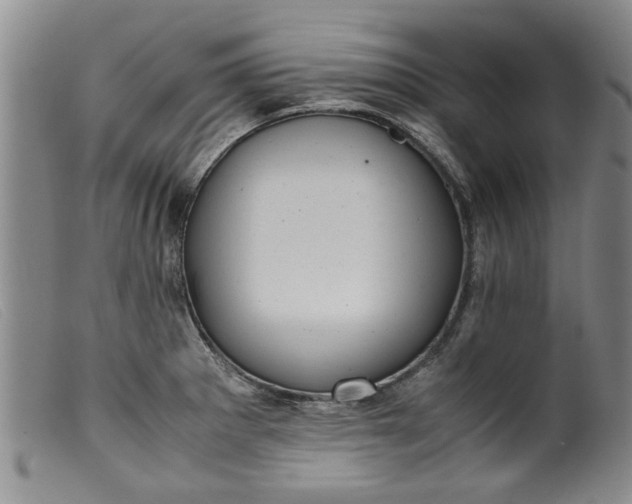 X0000099411281200805231555