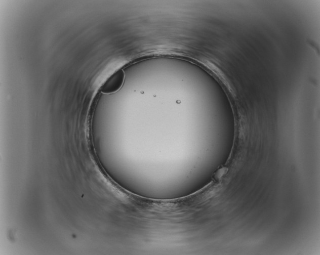 X0000099411285200805231555