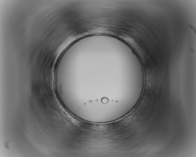 X0000099411286200805231555