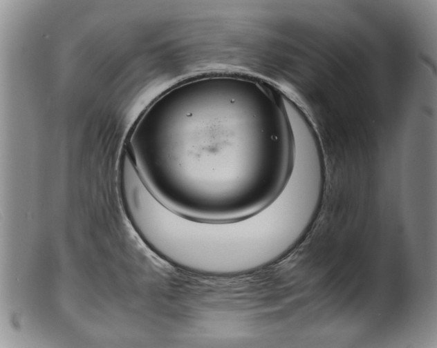 X0000099411287200805231555