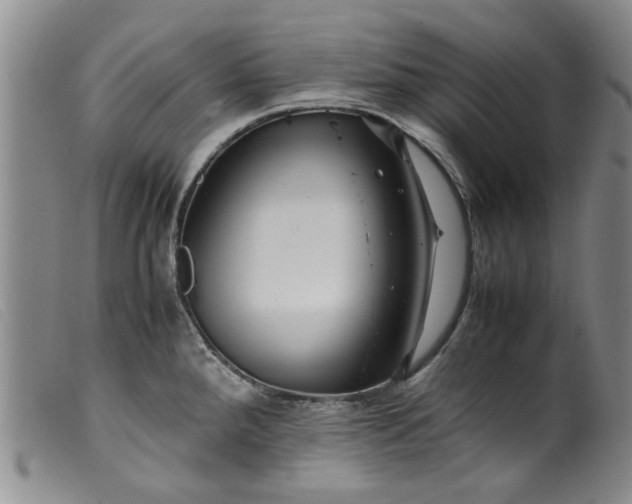 X0000099411288200805231555