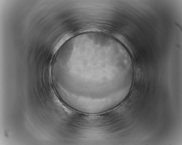 X0000099411290200805231555