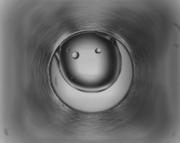 X0000099411291200805231555