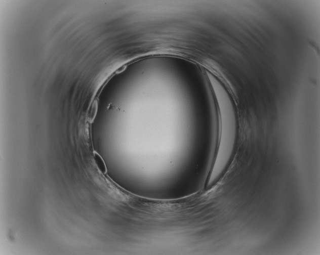 X0000099411292200805231555