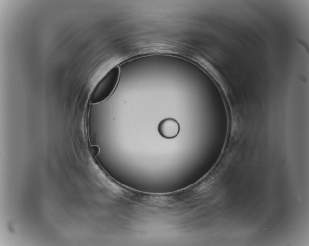 X0000099411293200805231555