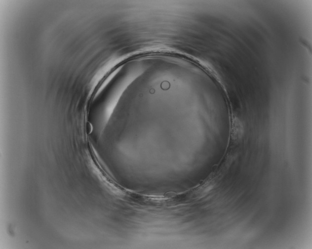 X0000099411295200805231555