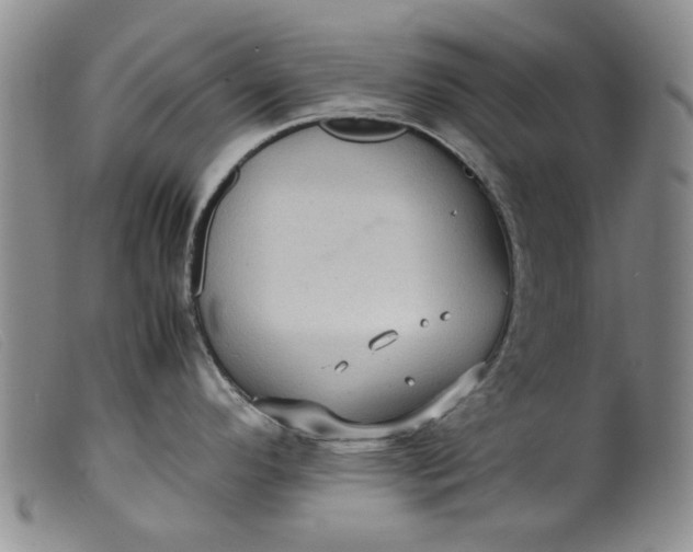 X0000099411296200805231555