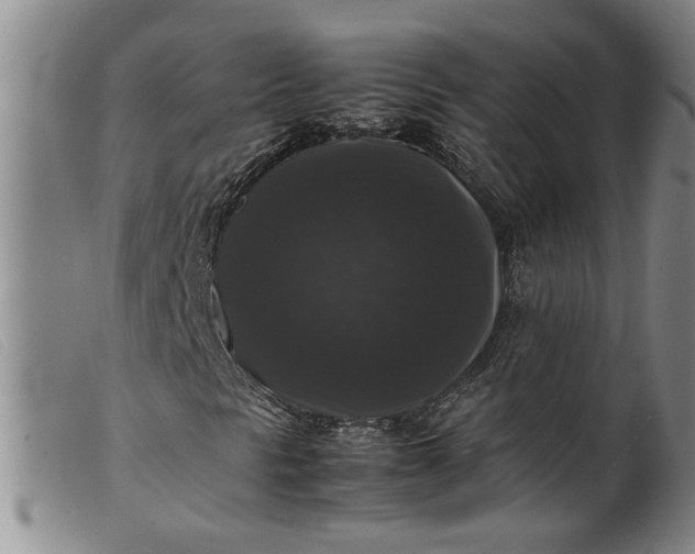 X0000099411297200805231554