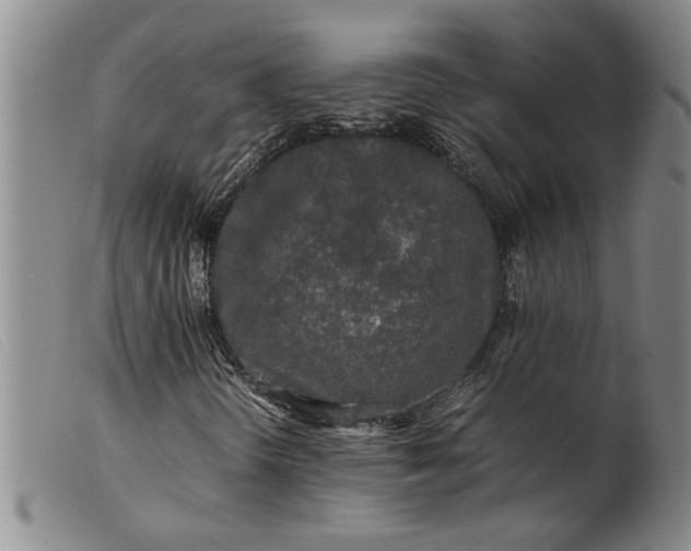 X0000099411298200805231554