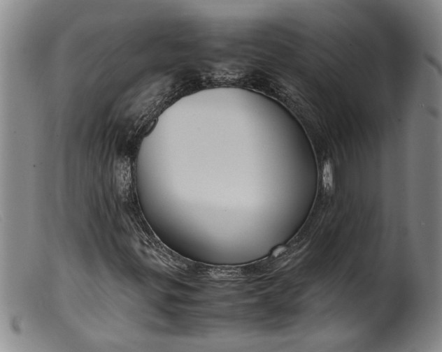 X0000099411299200805231554