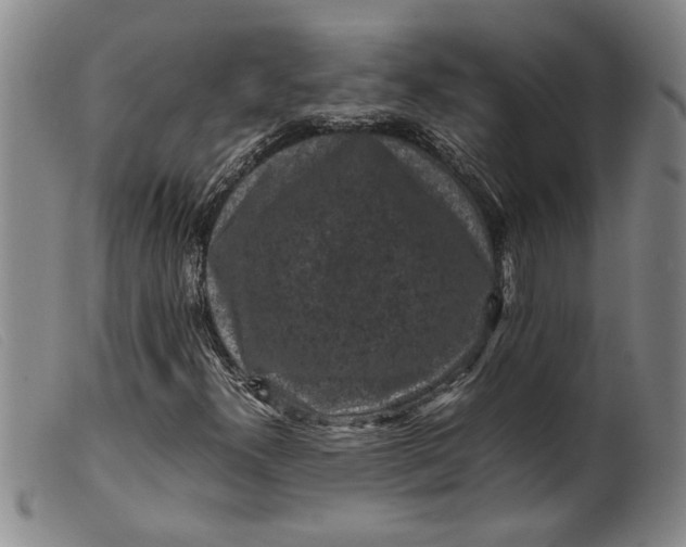 X0000099411300200805231554