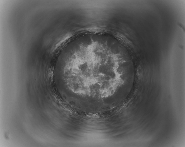 X0000099411302200805231554