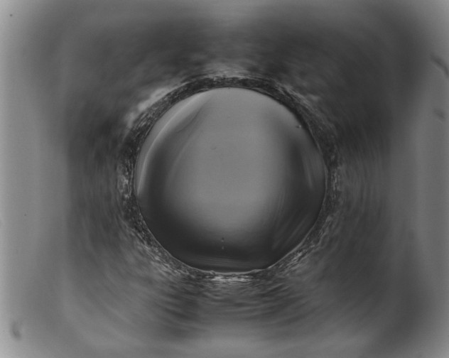 X0000099411303200805231554