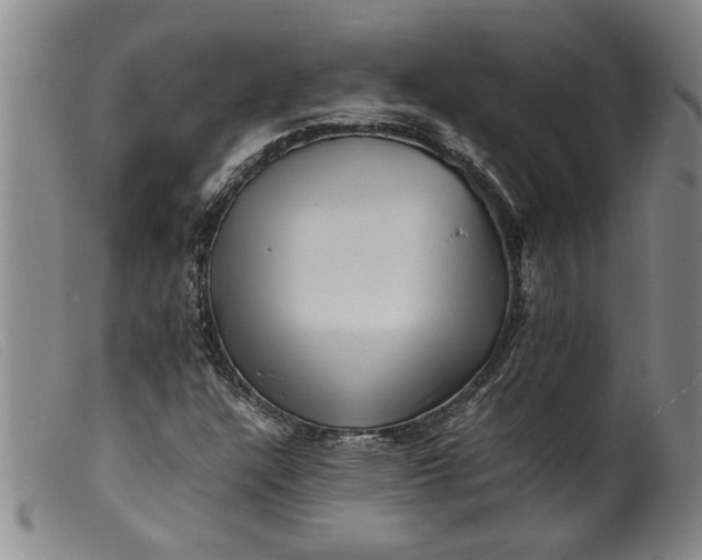 X0000099411304200805231554