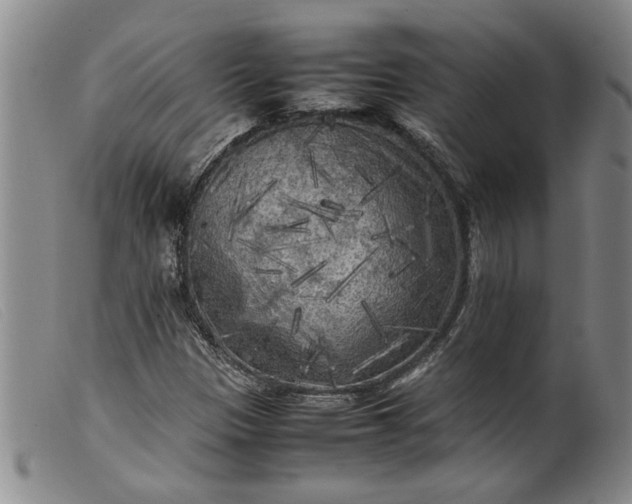 X0000099411305200805231554