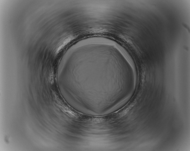 X0000099411306200805231554