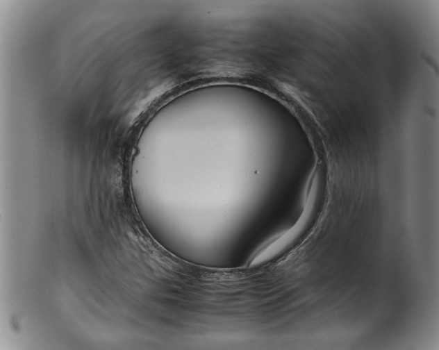 X0000099411307200805231554