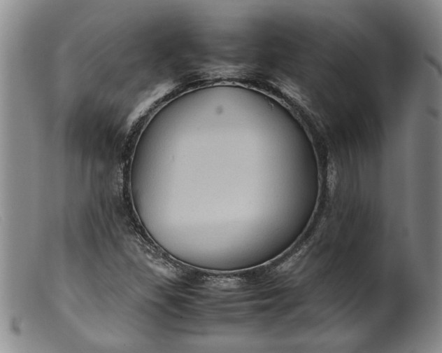 X0000099411309200805231554