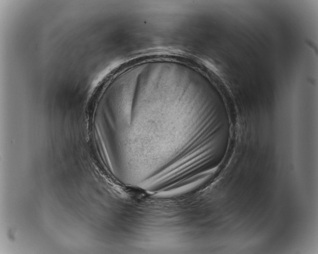 X0000099411310200805231554