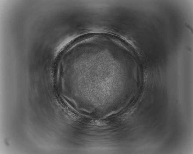 X0000099411311200805231554