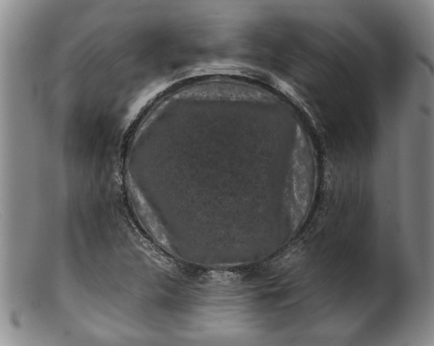 X0000099411312200805231554