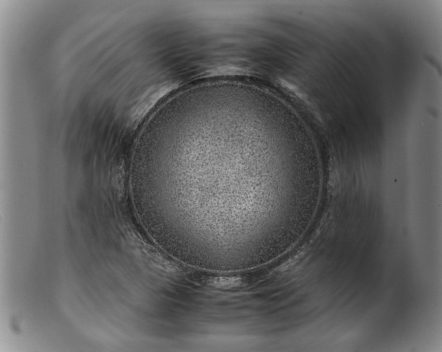 X0000099411313200805231554