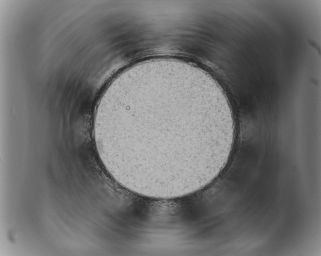 X0000099411314200805231554