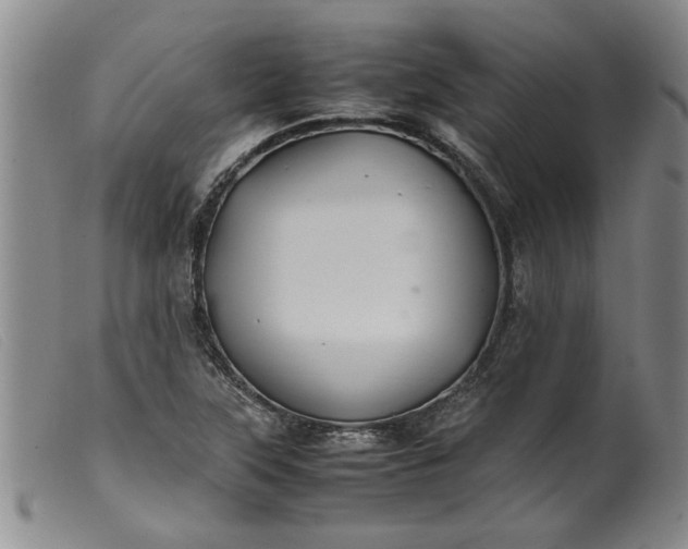 X0000099411315200805231554