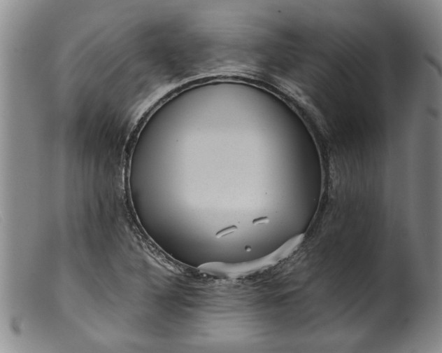 X0000099411316200805231554