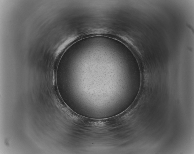 X0000099411317200805231554