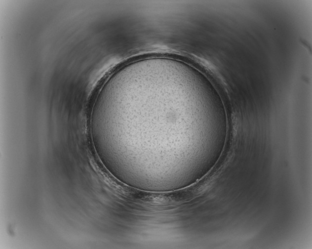 X0000099411318200805231554