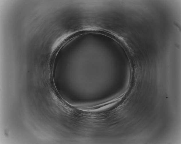 X0000099411319200805231554