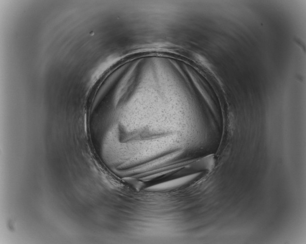 X0000099411320200805231554